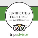 Certificate-of-Excellence-2015-Winner_599x321