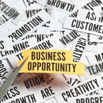 Business-Opportunities 2