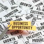 business-opportunities