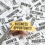 business-opportunities